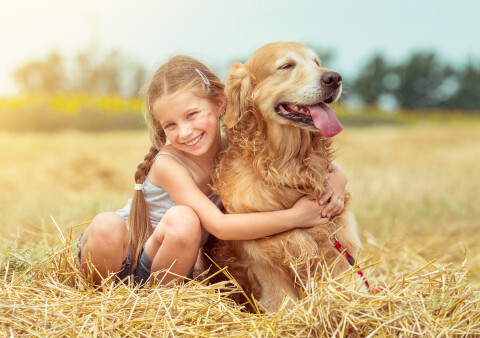 Pets (1)